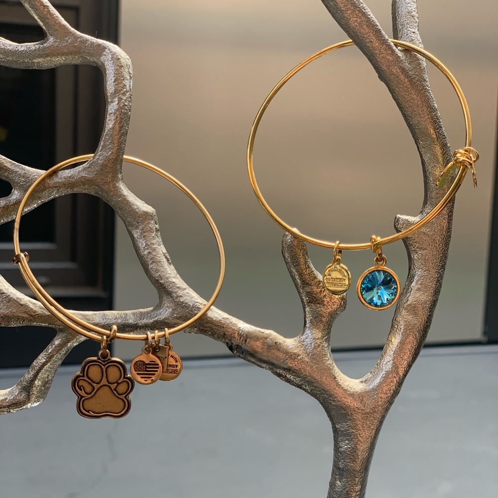 Alex & Ani Gold Bangle Bundle